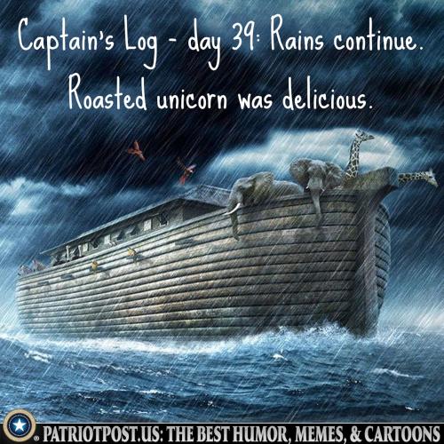 Captain's Log - Day 39