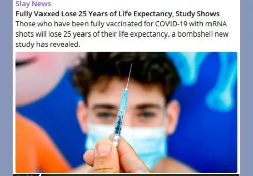 Screenshot_20230510_031051_Brave