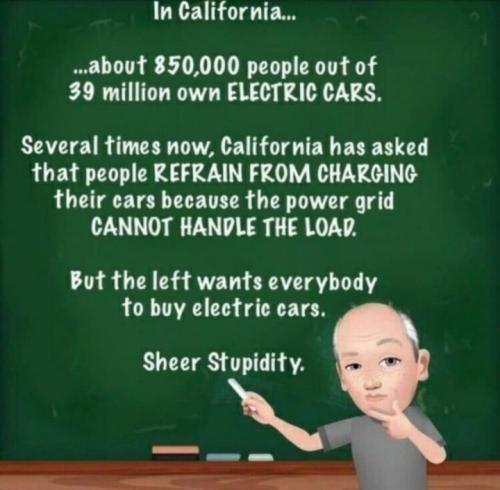 california stupid