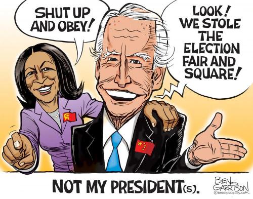 StolenElectionLiberalsAsPerUsual