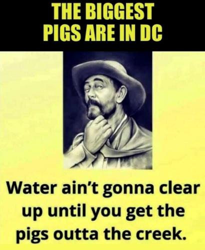 USA biggest pigs