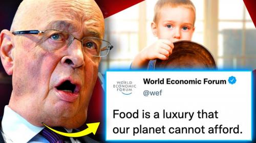 q0mmj.qR4e-small-WEF-Orders-Governments-To-S