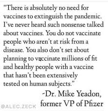 Dr Mike Yeadon Pfizer - Feb 2021