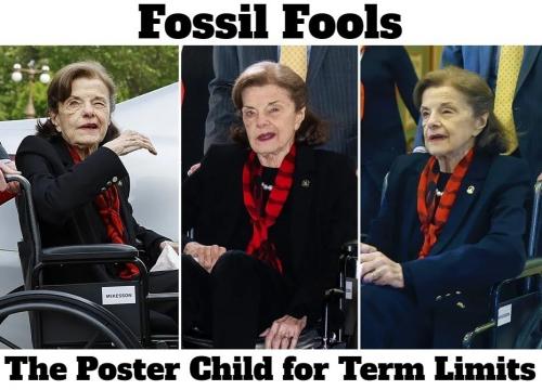 Fossil Fools Poster Child for Term Limits