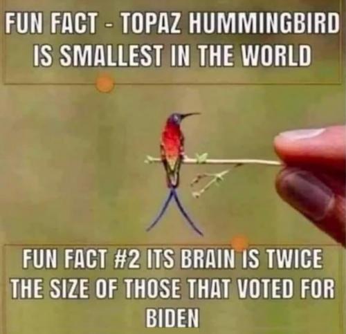 RO Fun Fact