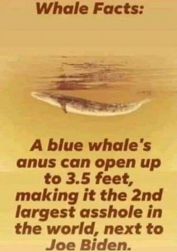 B largest Ahole