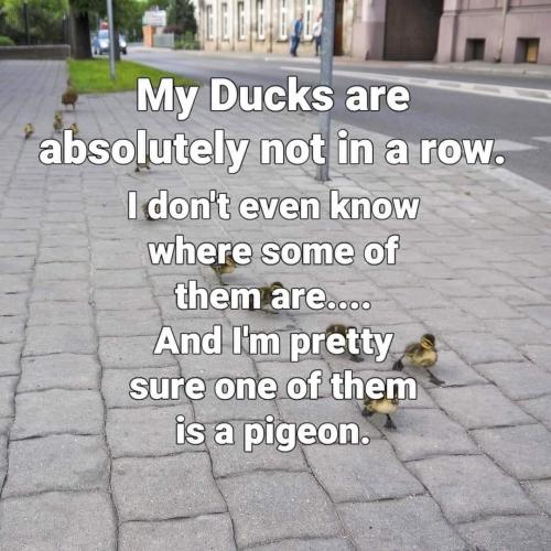 a1c88d0362b50f4a.jpeg