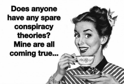 Conspiracy Theorist 6