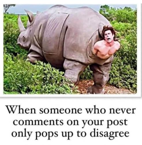 M disagree
