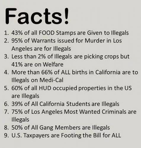 USA Facts