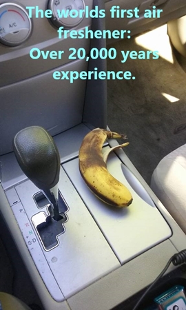 Banana