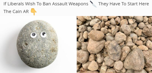 M lib weapons ban