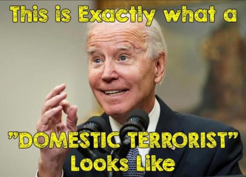 M domestic terrorist