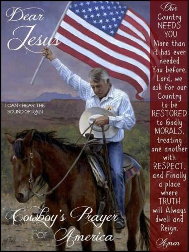 Flag - Cowboy