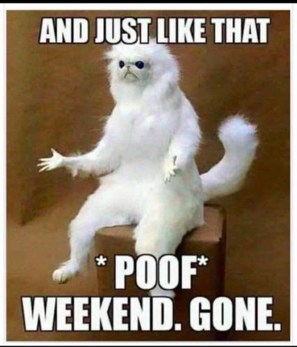 Monday 01