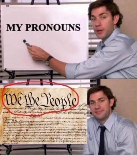 M My pronouns