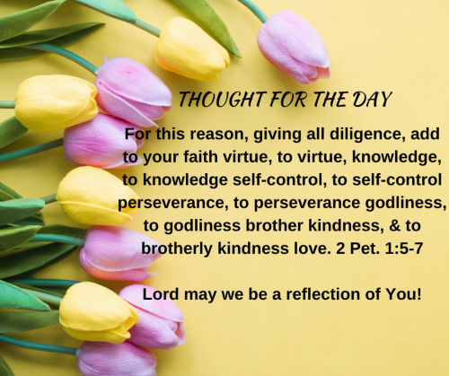 TWEET 5-25-23