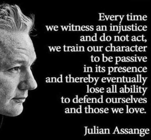USA Assange