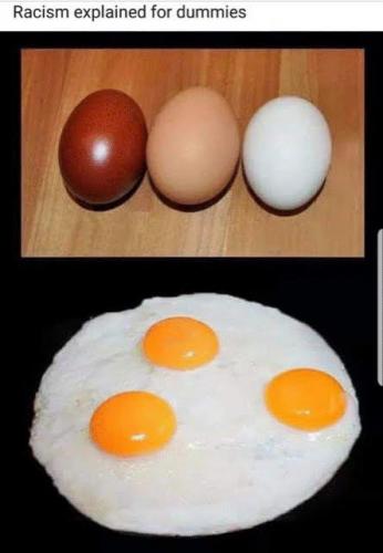 BLM, CRT, WOKE -- Racism for Dummies (Eggs)