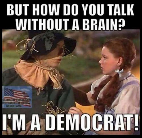 USA without brain