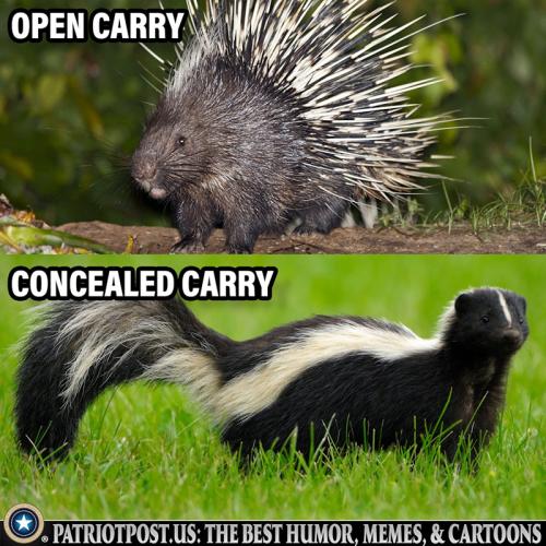 USA open carry