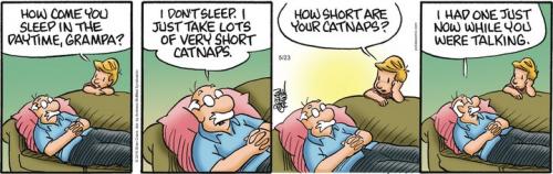 Screenshot 2023-05-23 at 06-22-49 Pickles by Brian Crane for May 23 2023 GoComics