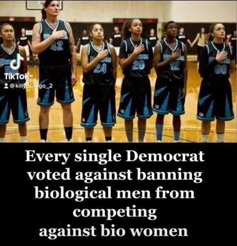 M Dems voted against