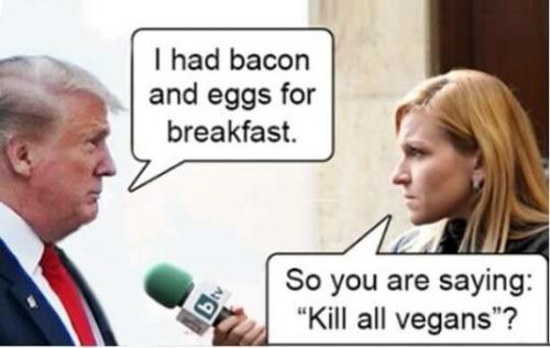 bacon