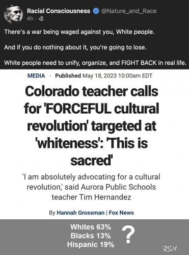 war on whites 13