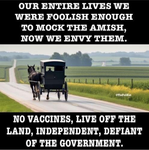 Amish envy 23
