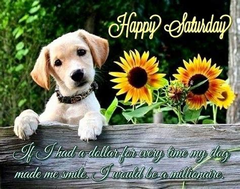 Happy Saturday - Dog & Daisys