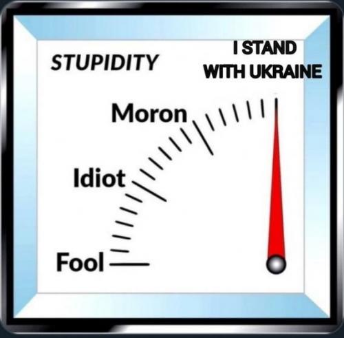 idiot-meter