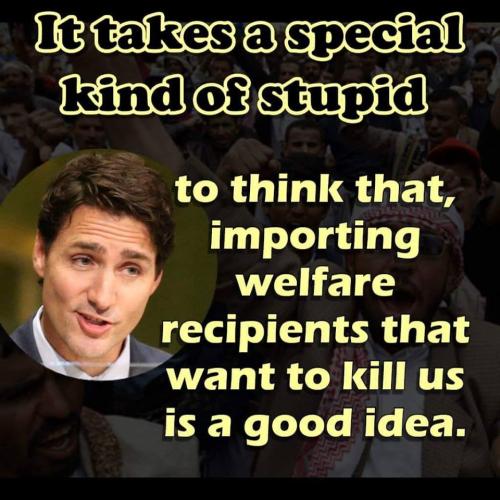 immigration 7 - welfare