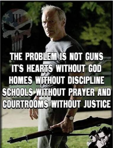 problem is not guns