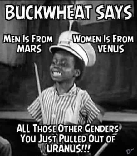 Buckwheat Says