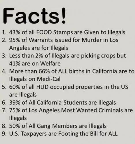 FACTS  TS
