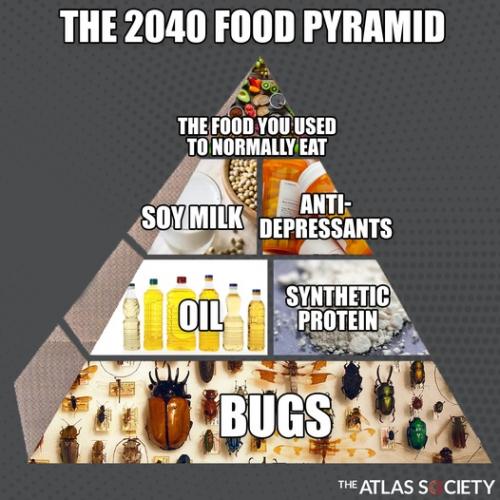 2040 Food Pyramid