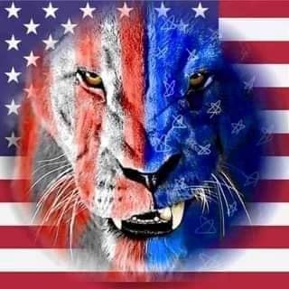 Flag - Lion's Head