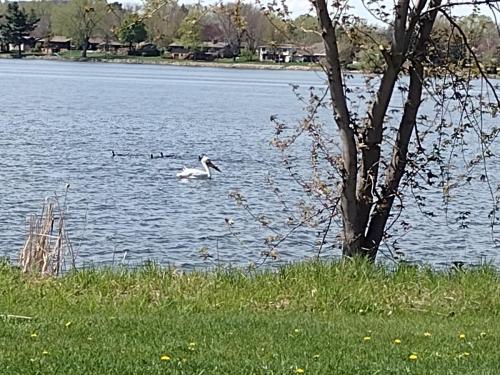 IMG_20230510_140514924