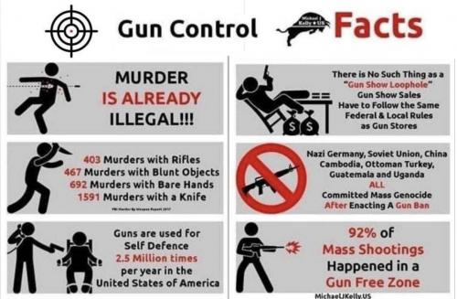 gun facts