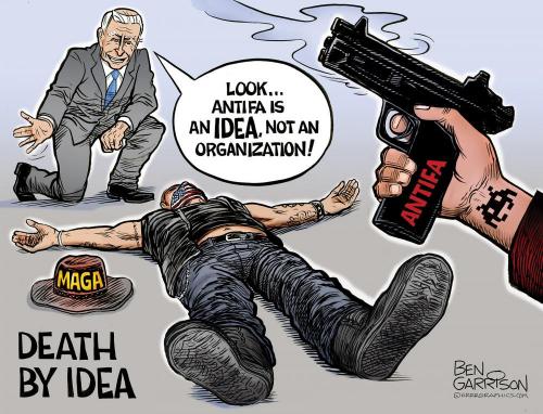 AntifaIdeaNotDomesticTerroristOrganizationJoeBidenLiberalLies