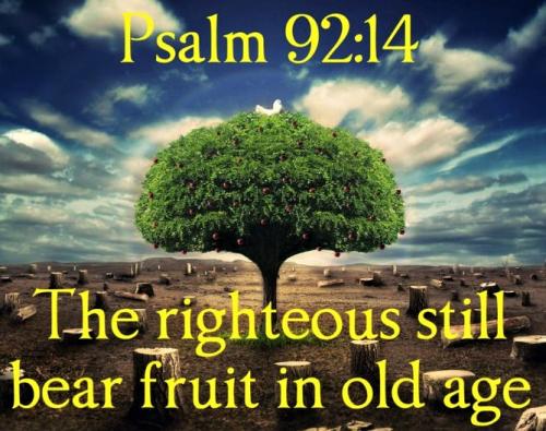 050723  - Psalm 92-14 Bear fruit