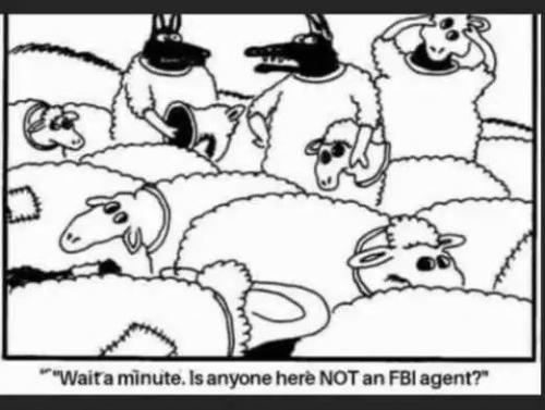 fbi2