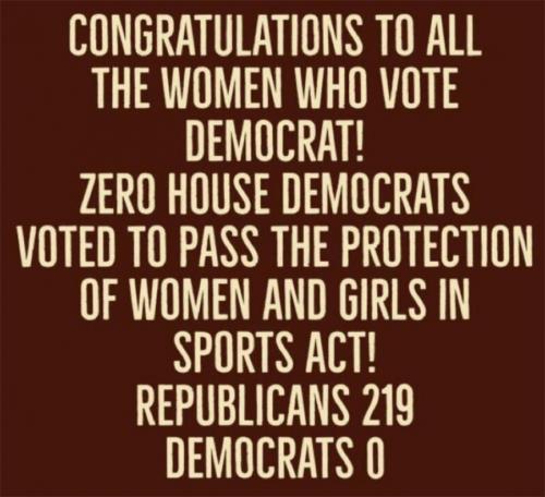 Dems not friend 07