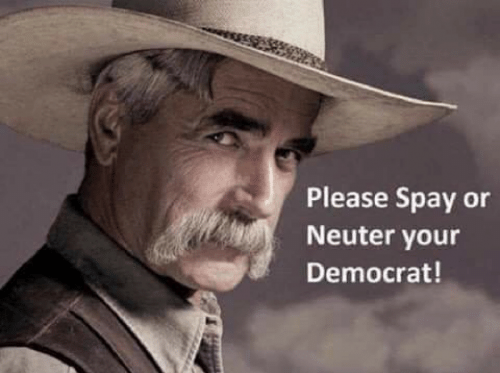RO spay neuter Dem