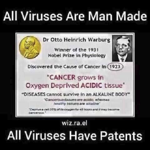 All Viruses