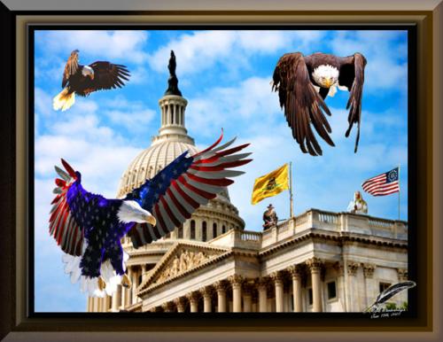 America's Fighting Eagles ~2023~