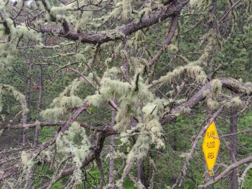 IMG_20230604_055544935