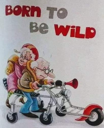 349147021_1877875675958569_311086089816894526_n