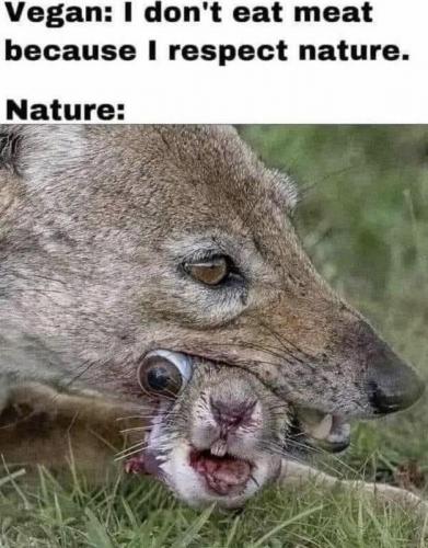 Nature